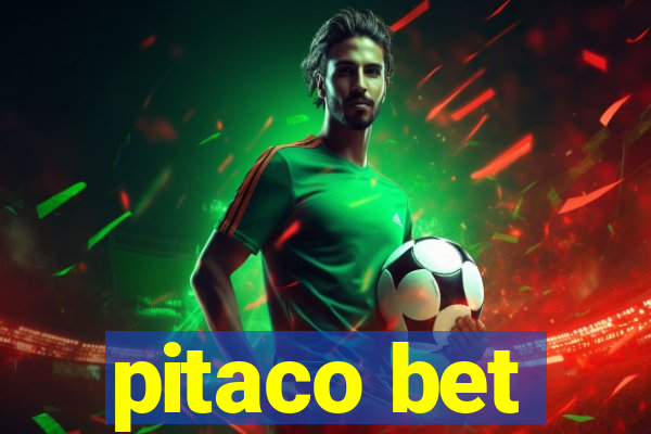 pitaco bet