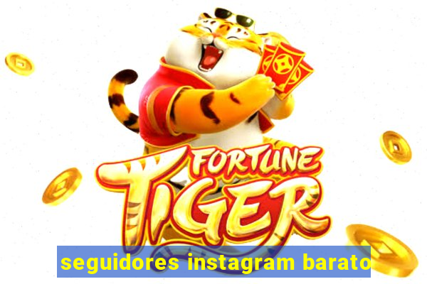 seguidores instagram barato