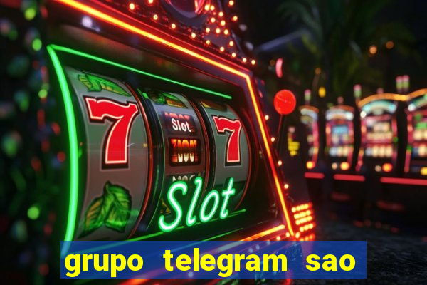 grupo telegram sao jose do rio preto