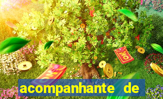 acompanhante de porto nacional tocantins