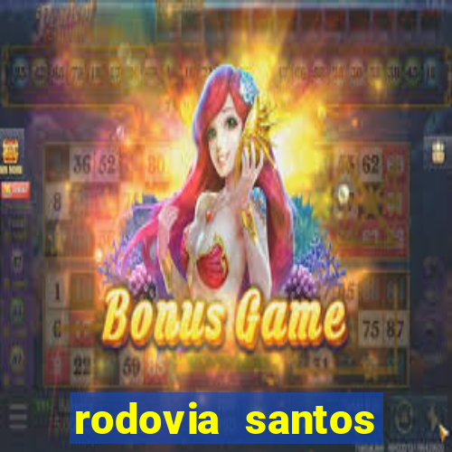 rodovia santos dumont br-116