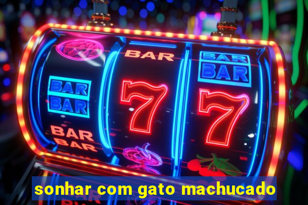 sonhar com gato machucado