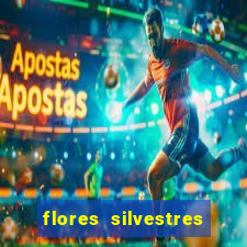 flores silvestres desbravadores desbravadores 25 flores silvestres e seus nomes