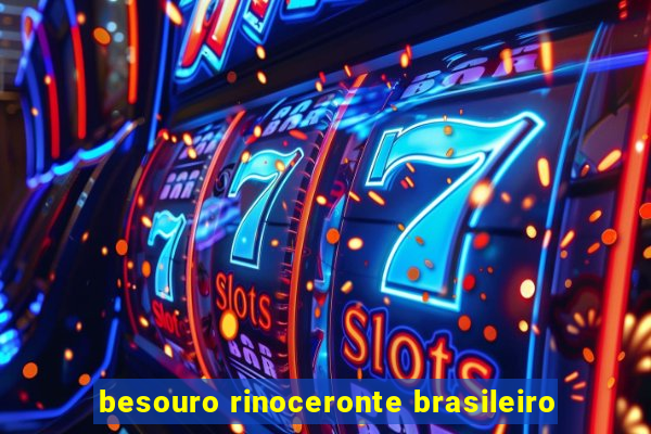 besouro rinoceronte brasileiro