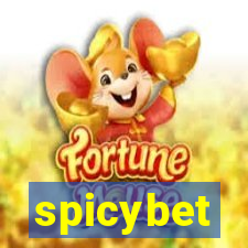 spicybet-1.com